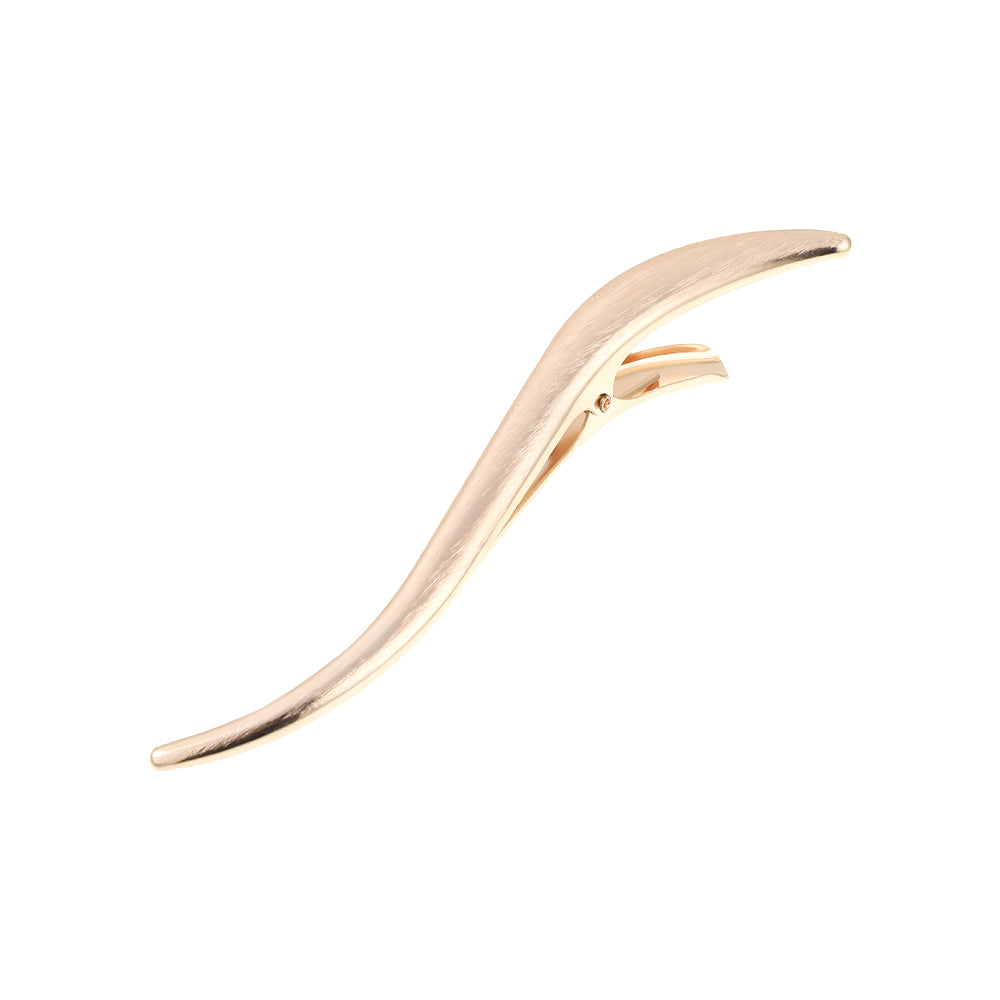 CB1220 Brushed Metal Hair Clips