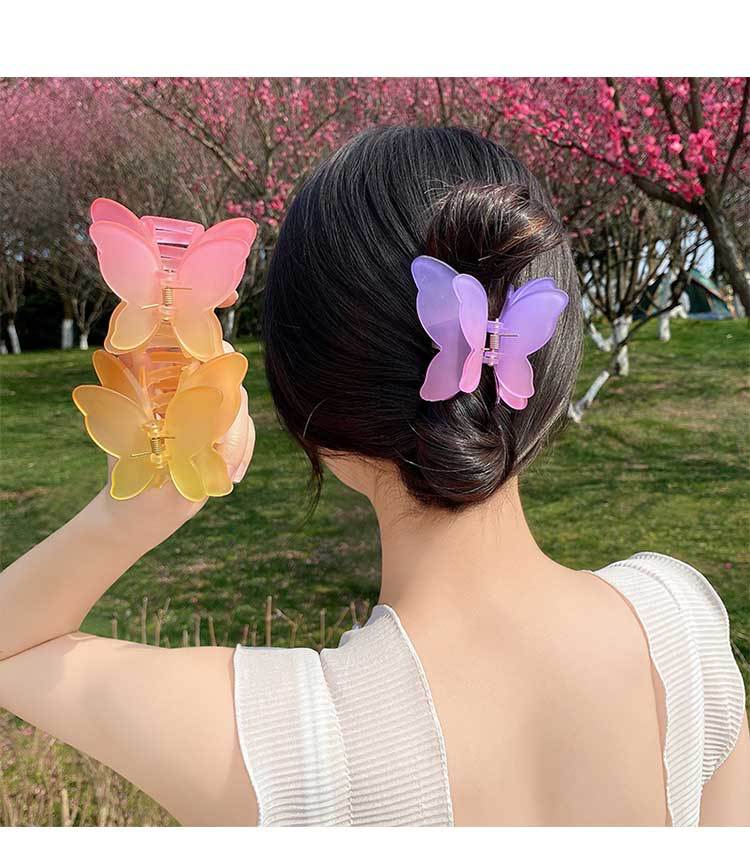 【Awaytr】CB1067 Frosted Butterfly Hair Claw Clip